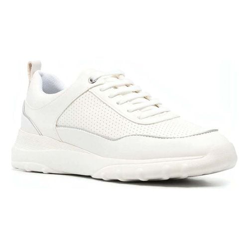 Sneakers basse Geox - Geox - Modalova