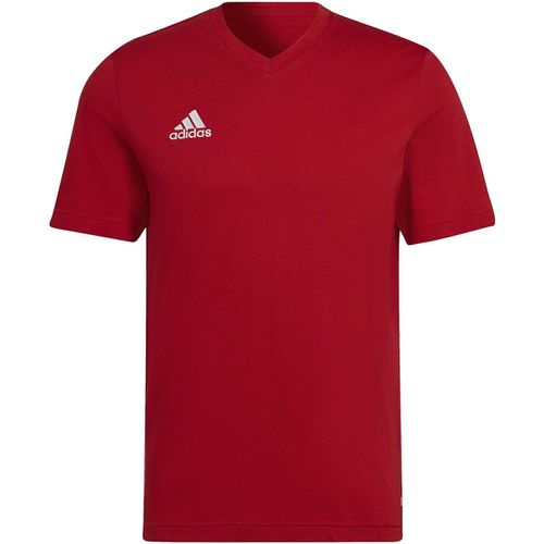 T-shirt & Polo adidas Ent22 Tee - Adidas - Modalova