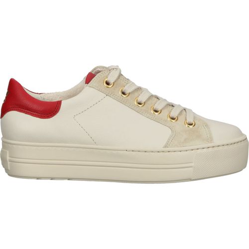 Sneakers basse Paul Green Sneakers - Paul green - Modalova