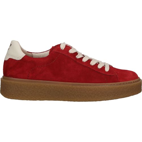 Sneakers basse Paul Green Sneakers - Paul green - Modalova