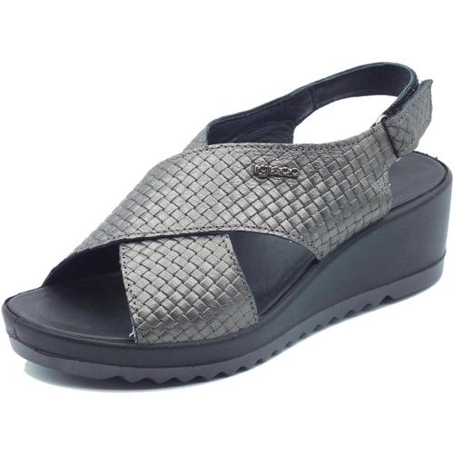 Sandali IgI&CO 3666000 Capra Met - IgI&CO - Modalova