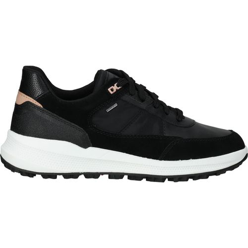 Sneakers basse Geox Sneakers - Geox - Modalova