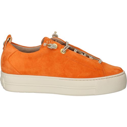 Sneakers basse Paul Green Sneakers - Paul green - Modalova