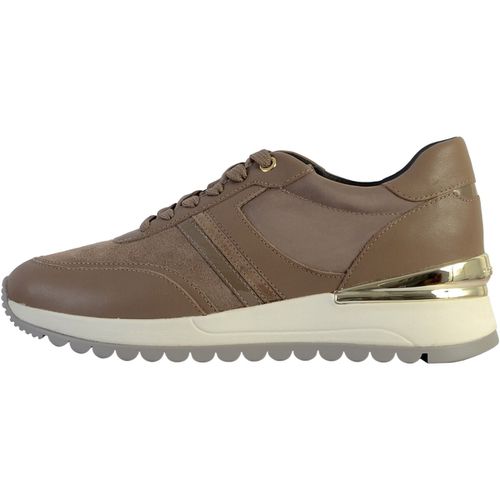 Sneakers basse Geox 239108 - Geox - Modalova