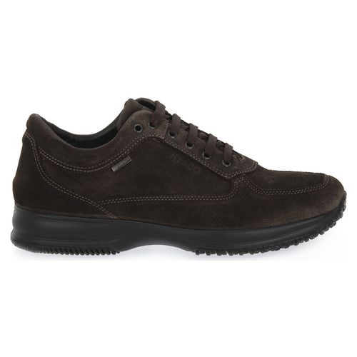 Sneakers IgI&CO TIME GTX CAFFE - IgI&CO - Modalova