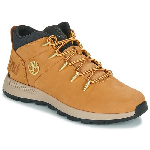 Sneakers alte SPRINT TREKKER - Timberland - Modalova