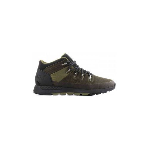 Sneakers SNEAKERS UOMO A5NFK - Timberland - Modalova