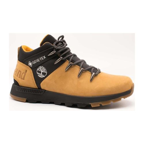 Sneakers alte Timberland - Timberland - Modalova