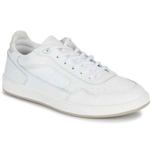 Sneakers Globe HOLAND - Globe - Modalova