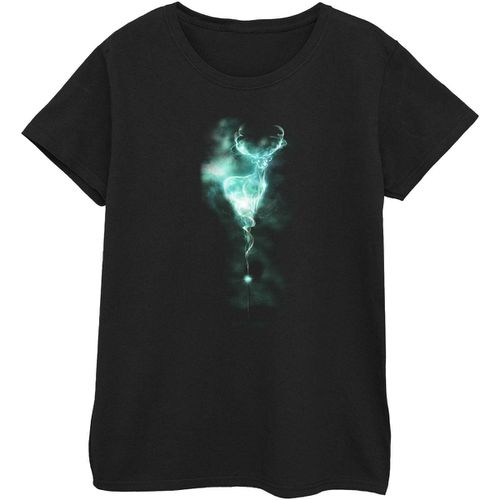 T-shirts a maniche lunghe Patronus - Harry Potter - Modalova