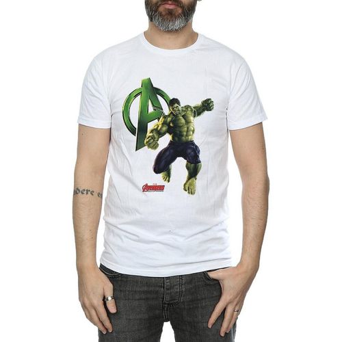 T-shirts a maniche lunghe BI556 - Avengers - Modalova