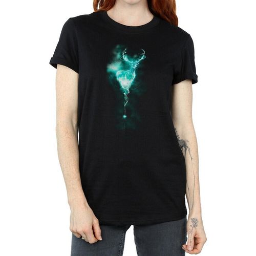 T-shirts a maniche lunghe Patronus - Harry Potter - Modalova