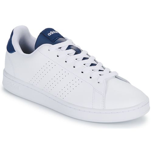 Sneakers adidas ADVANTAGE - Adidas - Modalova