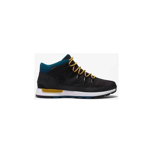 Sneakers SCARPONCINO UOMO A5NEB - Timberland - Modalova