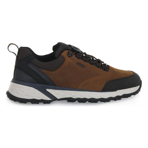 Sneakers Geox STERRATO - Geox - Modalova