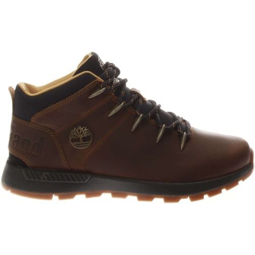 Stivaletti TB0A67TG9431-UNICA - Polacco M - Timberland - Modalova