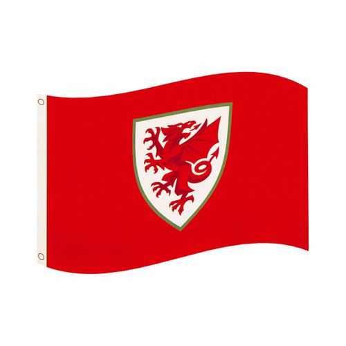 Accessori sport Fa Wales TA10232 - Fa Wales - Modalova