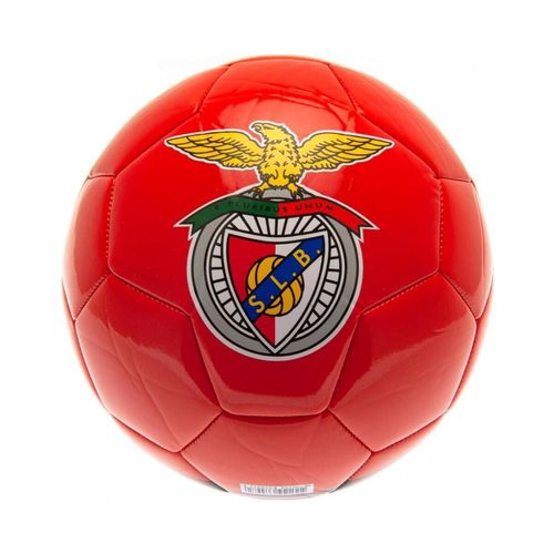 Accessori sport Sl Benfica TA8236 - Sl Benfica - Modalova