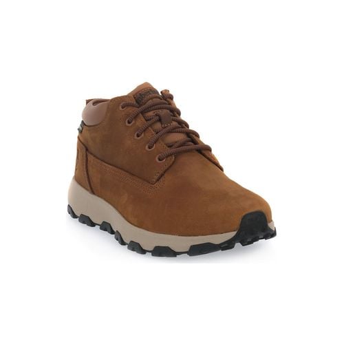 Stivali WINSOR PARK GTX CHUKKA - Timberland - Modalova