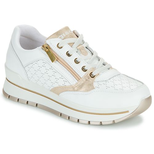 Sneakers basse IgI&CO 5662100 - IgI&CO - Modalova