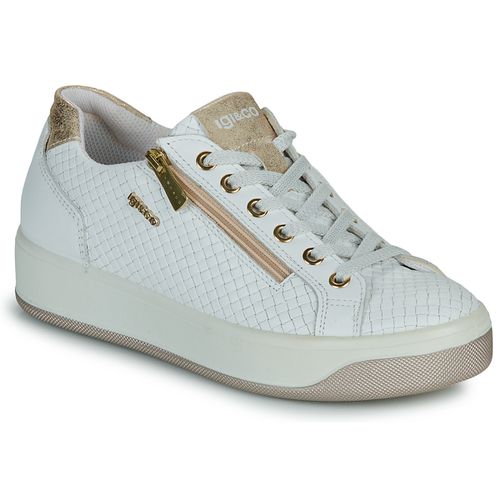 Sneakers basse IgI&CO - IgI&CO - Modalova