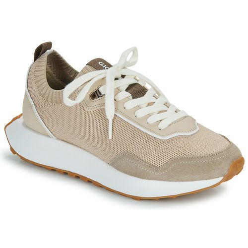 Sneakers basse Gioseppo FINIQ - Gioseppo - Modalova