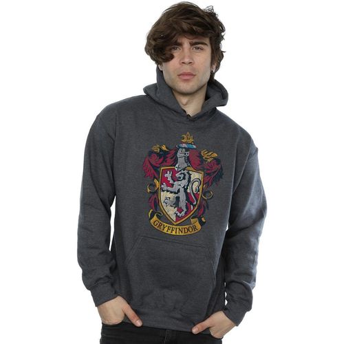 Felpa Harry Potter BI1022 - Harry Potter - Modalova