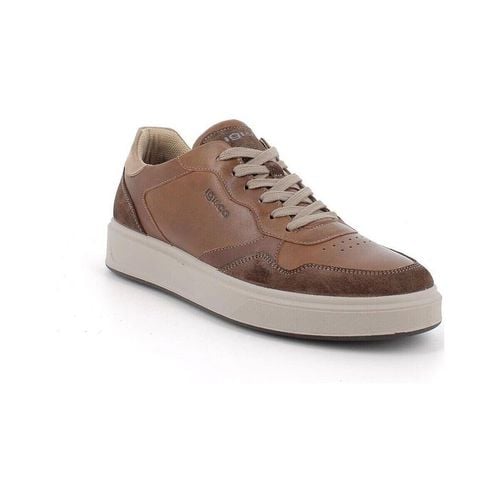 Sneakers IgI&CO 4638133 - IgI&CO - Modalova