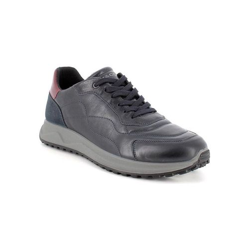 Sneakers IgI&CO 4640700 - IgI&CO - Modalova