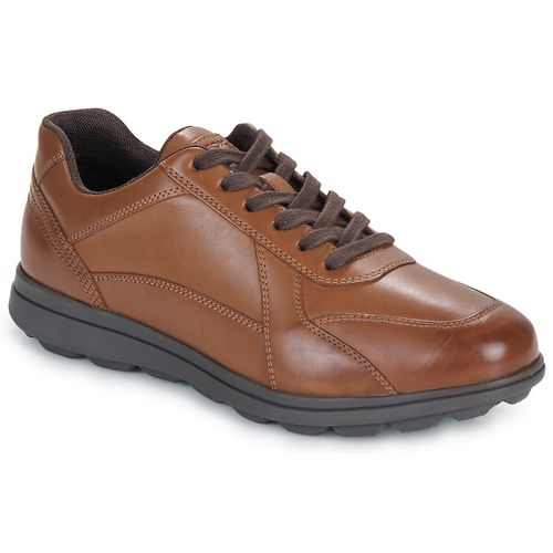 Sneakers Geox U SPHERICA EC12 - Geox - Modalova