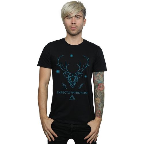 T-shirts a maniche lunghe Expecto Patronum - Harry Potter - Modalova