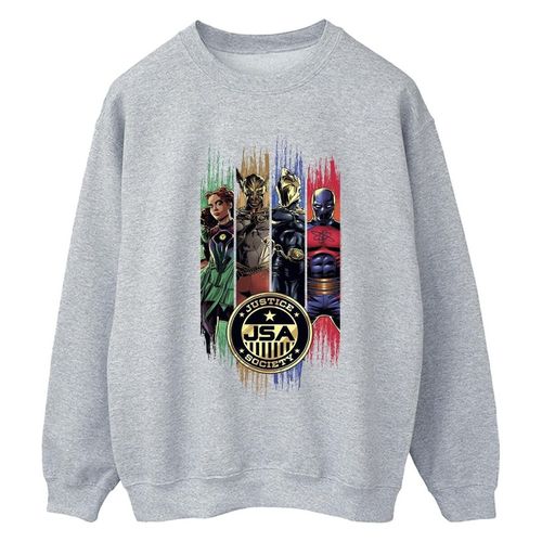 Felpa Dc Comics JSA - Dc Comics - Modalova