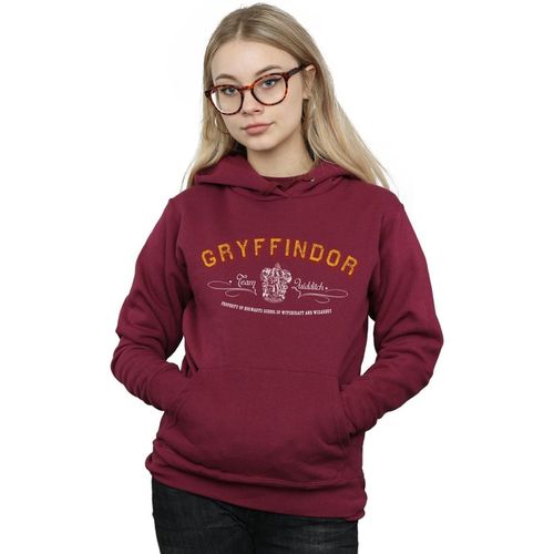 Felpa Gryffindor Quidditch - Harry Potter - Modalova