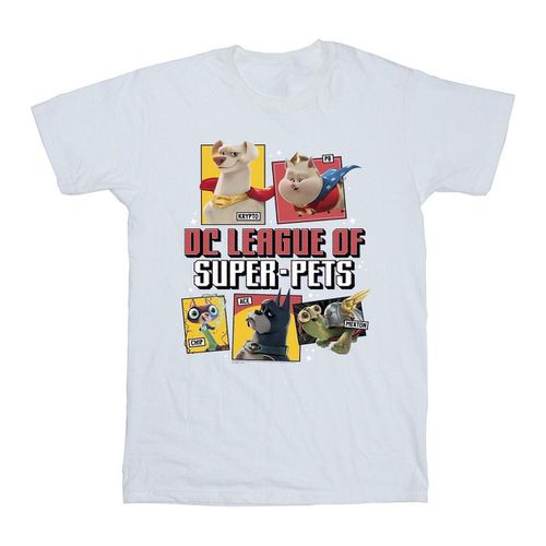 T-shirts a maniche lunghe DC League Of Super-Pets - Dc Comics - Modalova