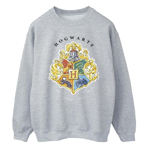 Felpa Harry Potter Hogwarts - Harry Potter - Modalova