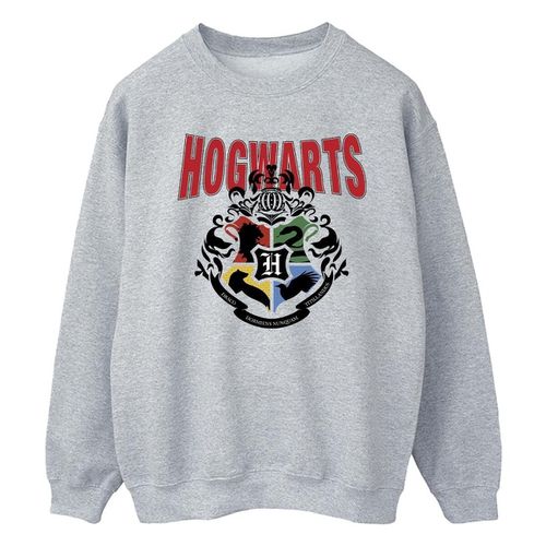 Felpa Harry Potter Hogwarts - Harry Potter - Modalova