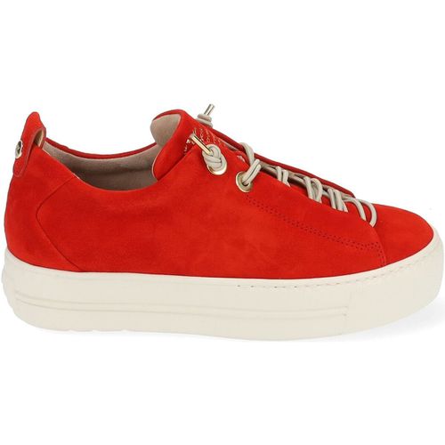 Sneakers basse Paul Green Sneakers - Paul green - Modalova