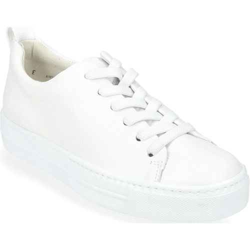 Sneakers basse Paul Green Sneakers - Paul green - Modalova