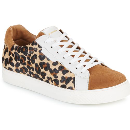 Sneakers basse SPARK CLAY W - Schmoove - Modalova