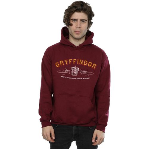 Felpa Gryffindor Quidditch - Harry Potter - Modalova