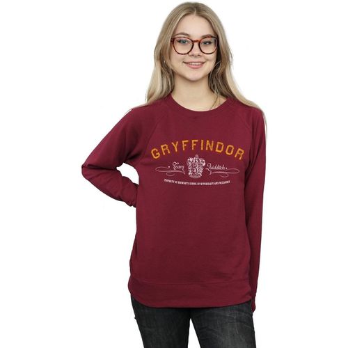 Felpa Gryffindor Quidditch - Harry Potter - Modalova