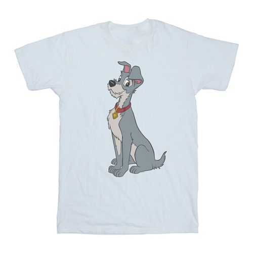 T-shirts a maniche lunghe Lady And The Tramp - Disney - Modalova