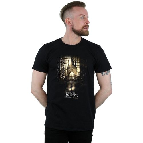 T-shirts a maniche lunghe BI24942 - Fantastic Beasts - Modalova