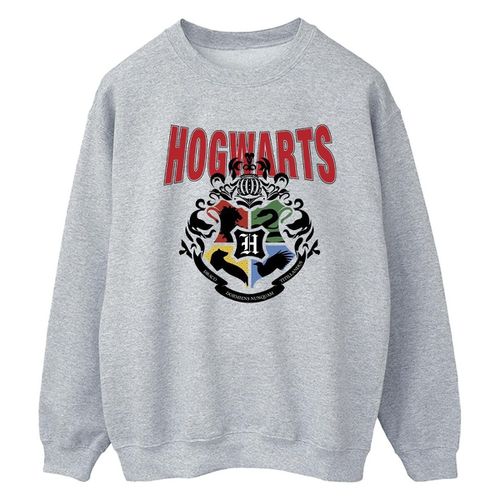 Felpa Harry Potter Hogwarts - Harry Potter - Modalova