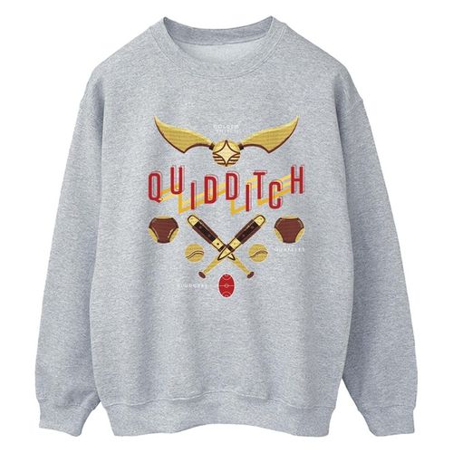 Felpa Quidditch Golden Snitch - Harry Potter - Modalova