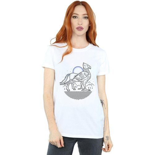 T-shirts a maniche lunghe BI26699 - Harry Potter - Modalova