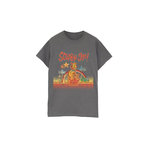 T-shirts a maniche lunghe Palm Trees - Scooby Doo - Modalova