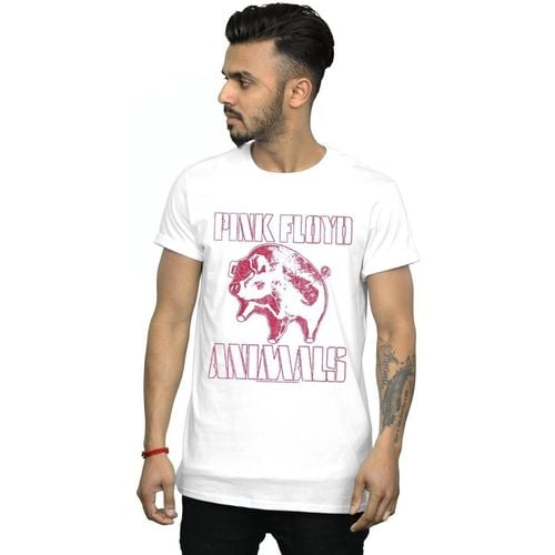 T-shirts a maniche lunghe Animals - Pink Floyd - Modalova