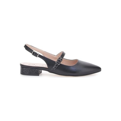 Ballerine Pittarello 3888 - Pittarello - Modalova