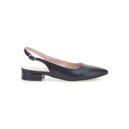 Ballerine Pittarello 3883 - Pittarello - Modalova